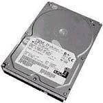 IBM 73GB 10K Hot Swap SCSI hard disk