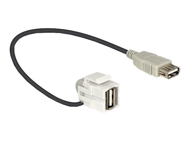Delock modular insert