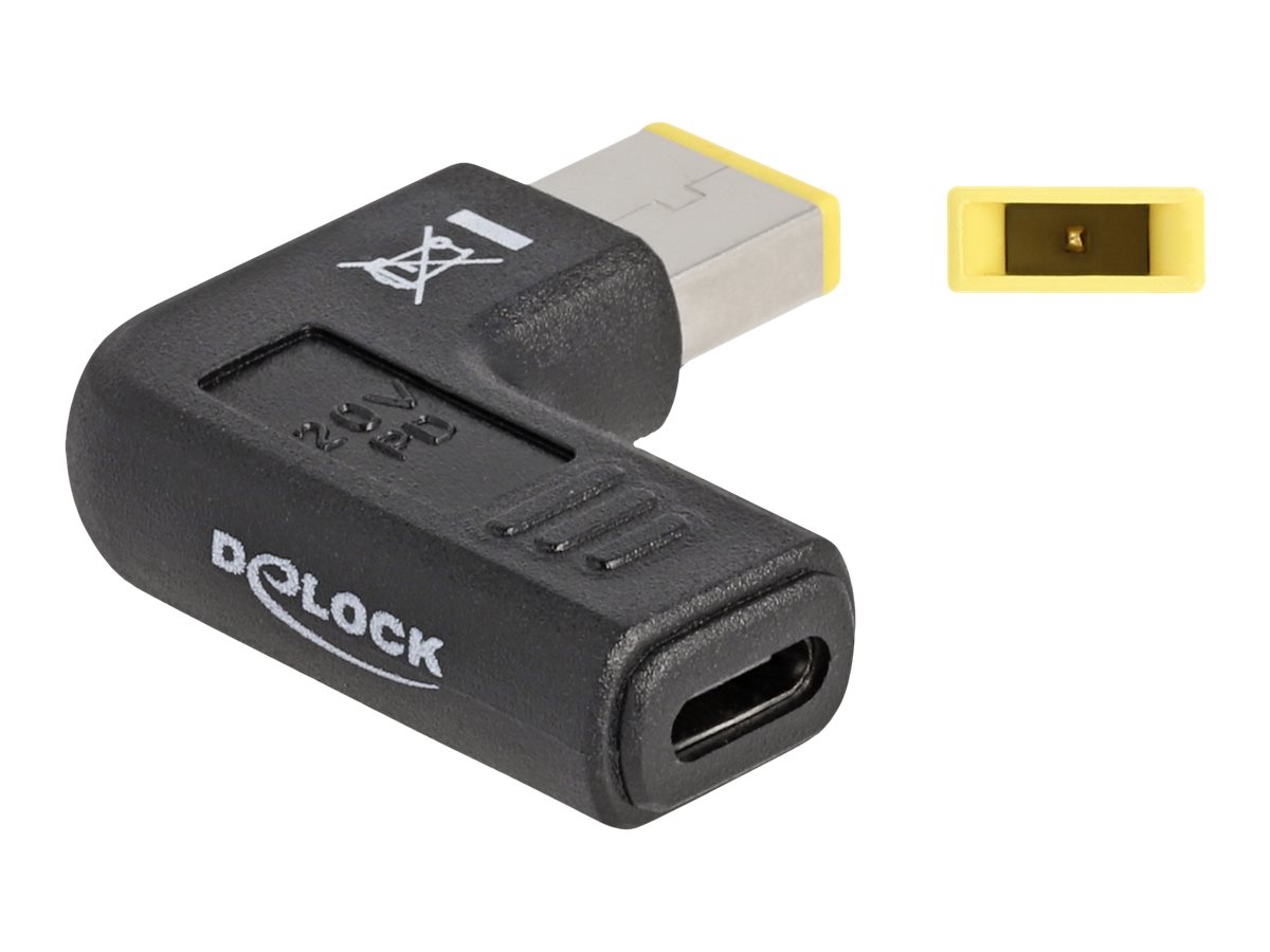 Delock Strømforsyningsadapter Sort