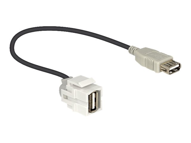 Delock - Modular indlæg - USB Type A