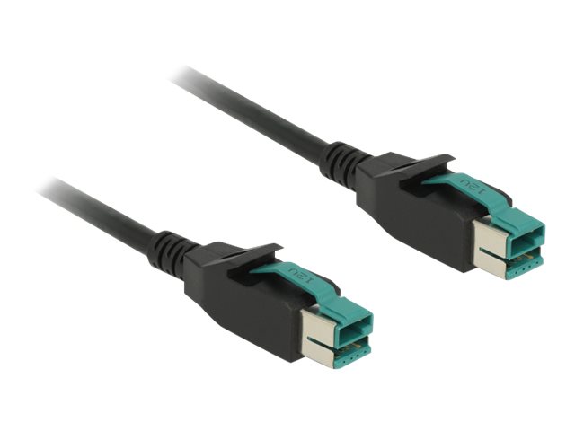 Delock Forstærket USB kabel 2m Sort