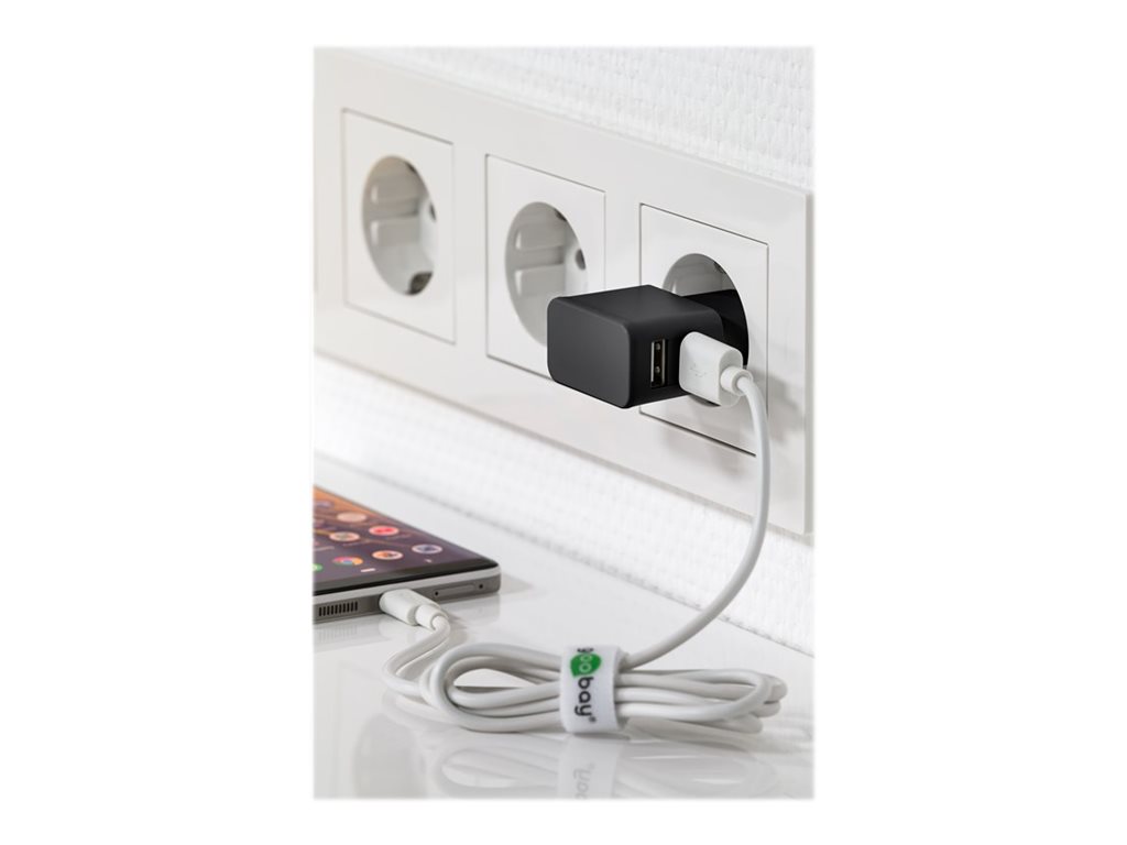 goobay Adapter 12Watt