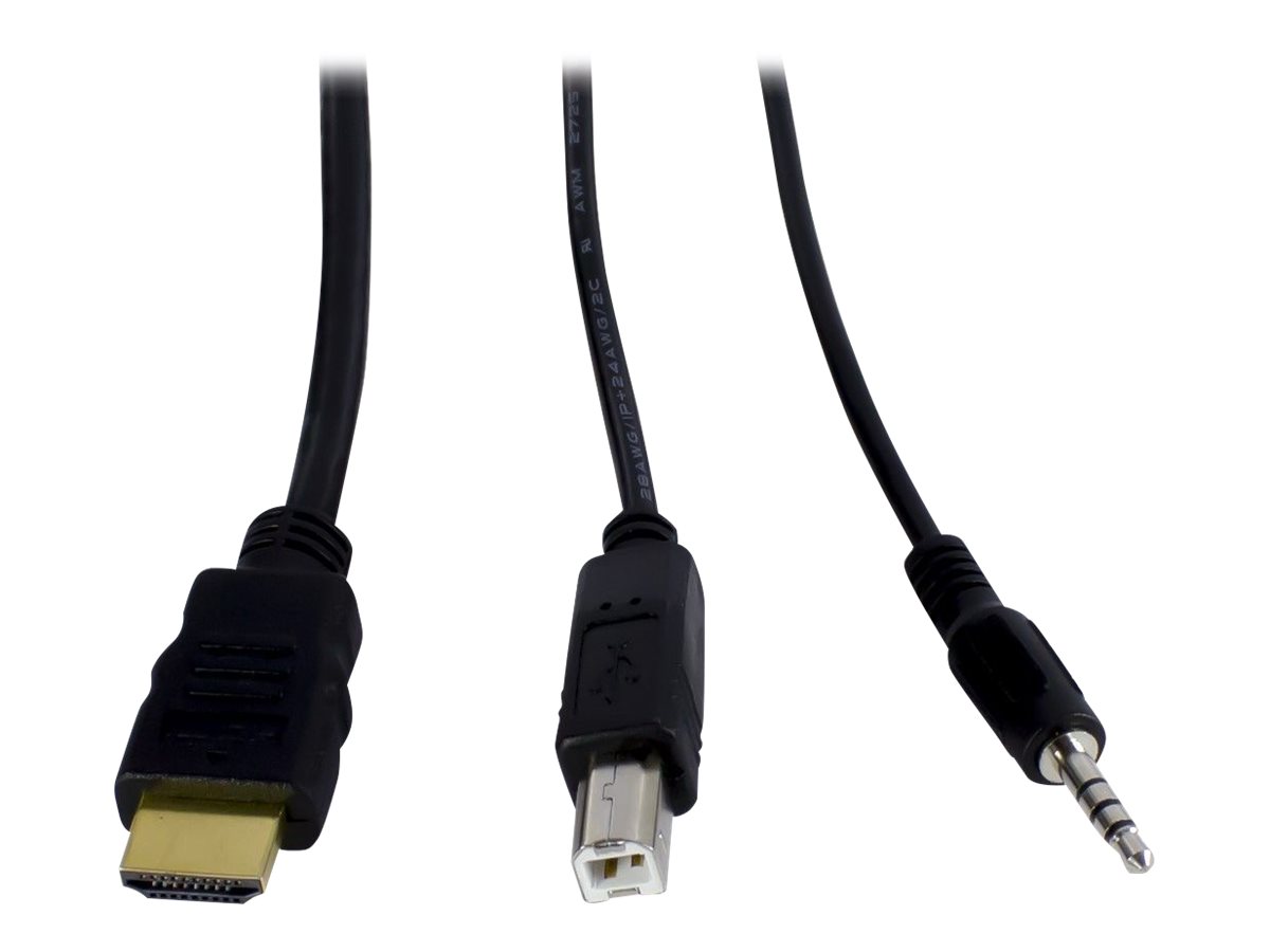 Argus KVM AS-21HA KVM / audio-switch Desktop