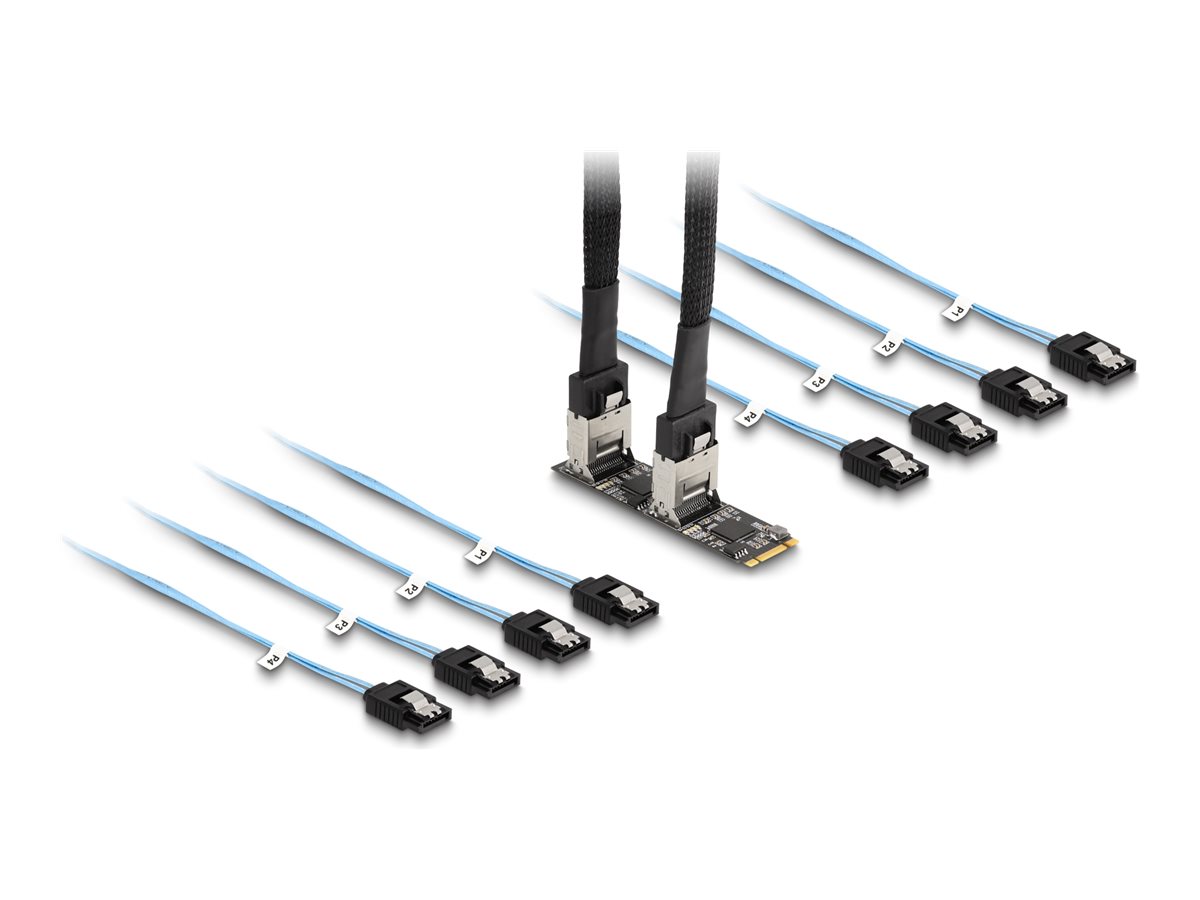 DeLOCK Interfaceadapter