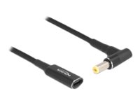 Delock Stikadapter 15m Sort