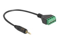 Delock Lyd adapter 20cm Sort