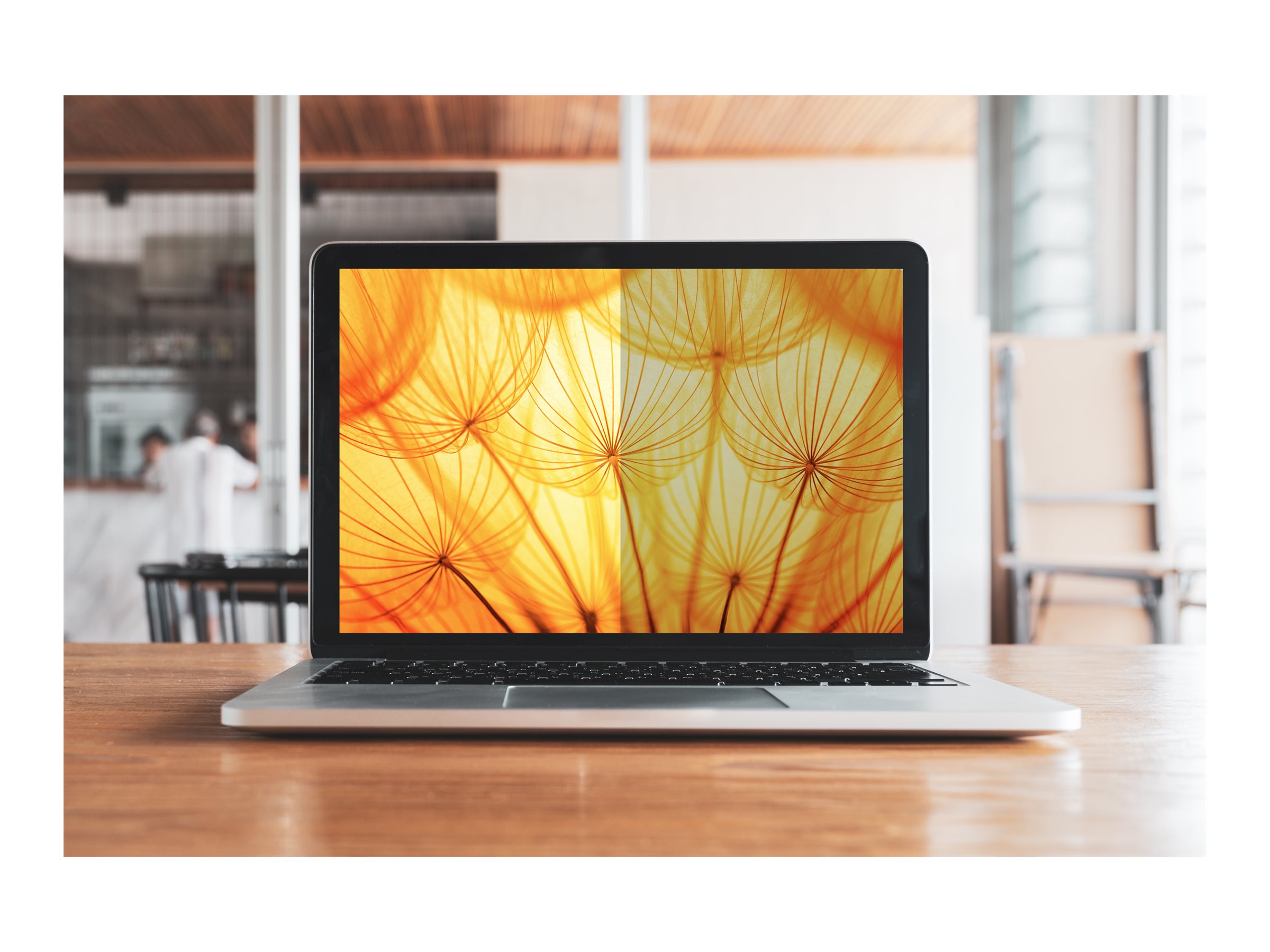 3M Notebook privacy-filter