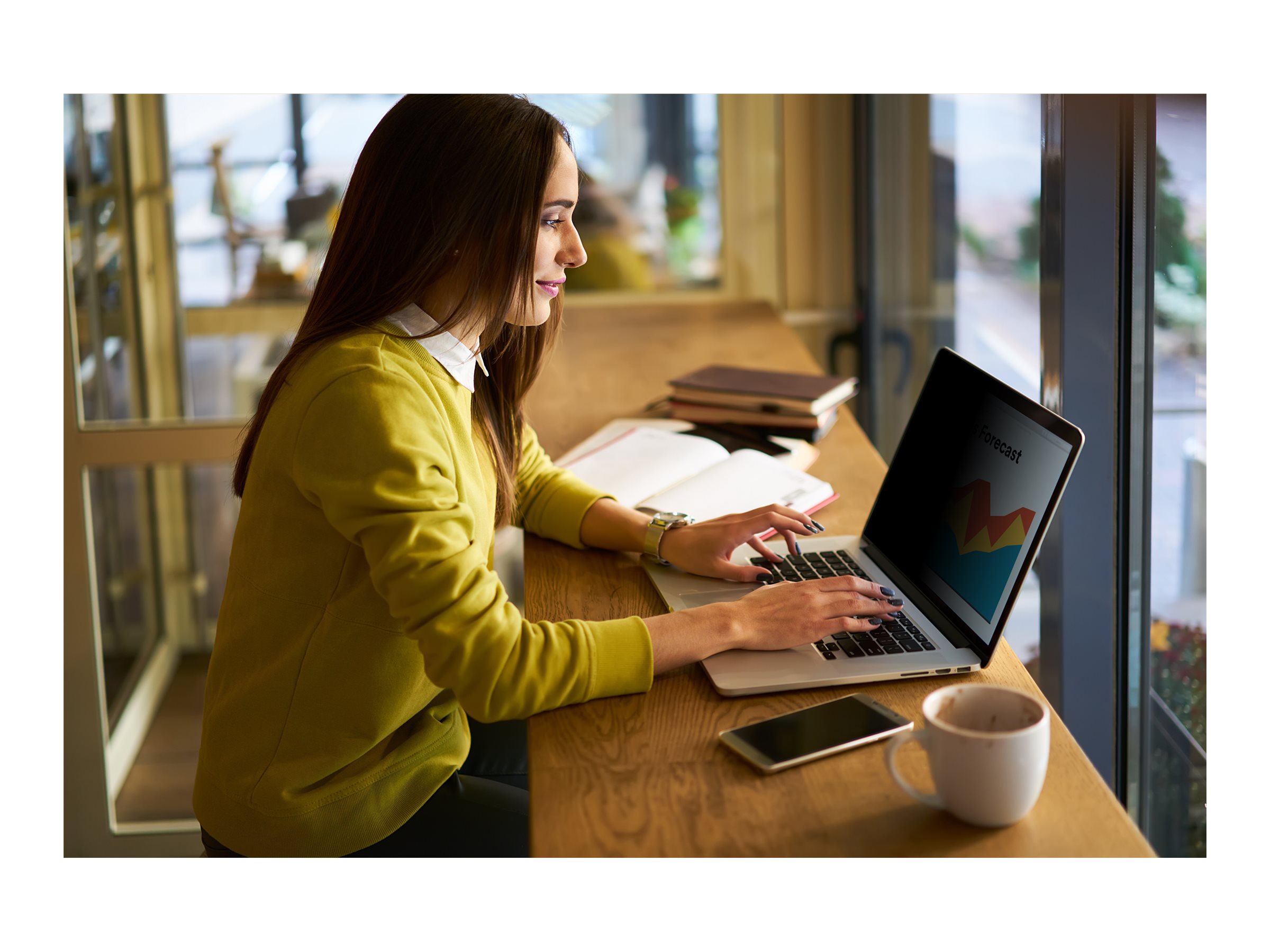 3M Notebook privacy-filter
