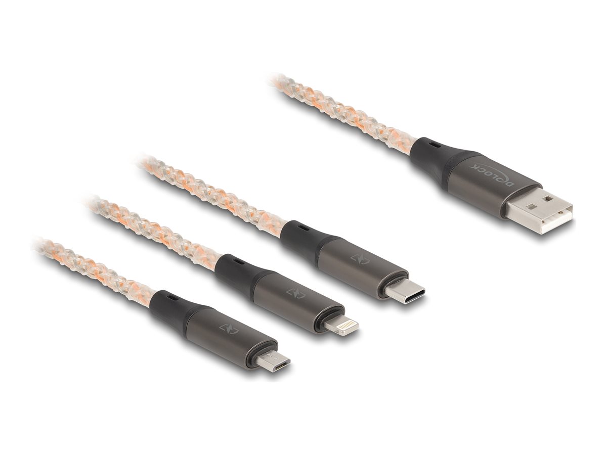 DeLOCK 3 in 1 Transparent / copper-colored