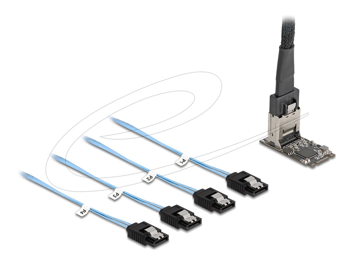 DeLOCK Interfaceadapter