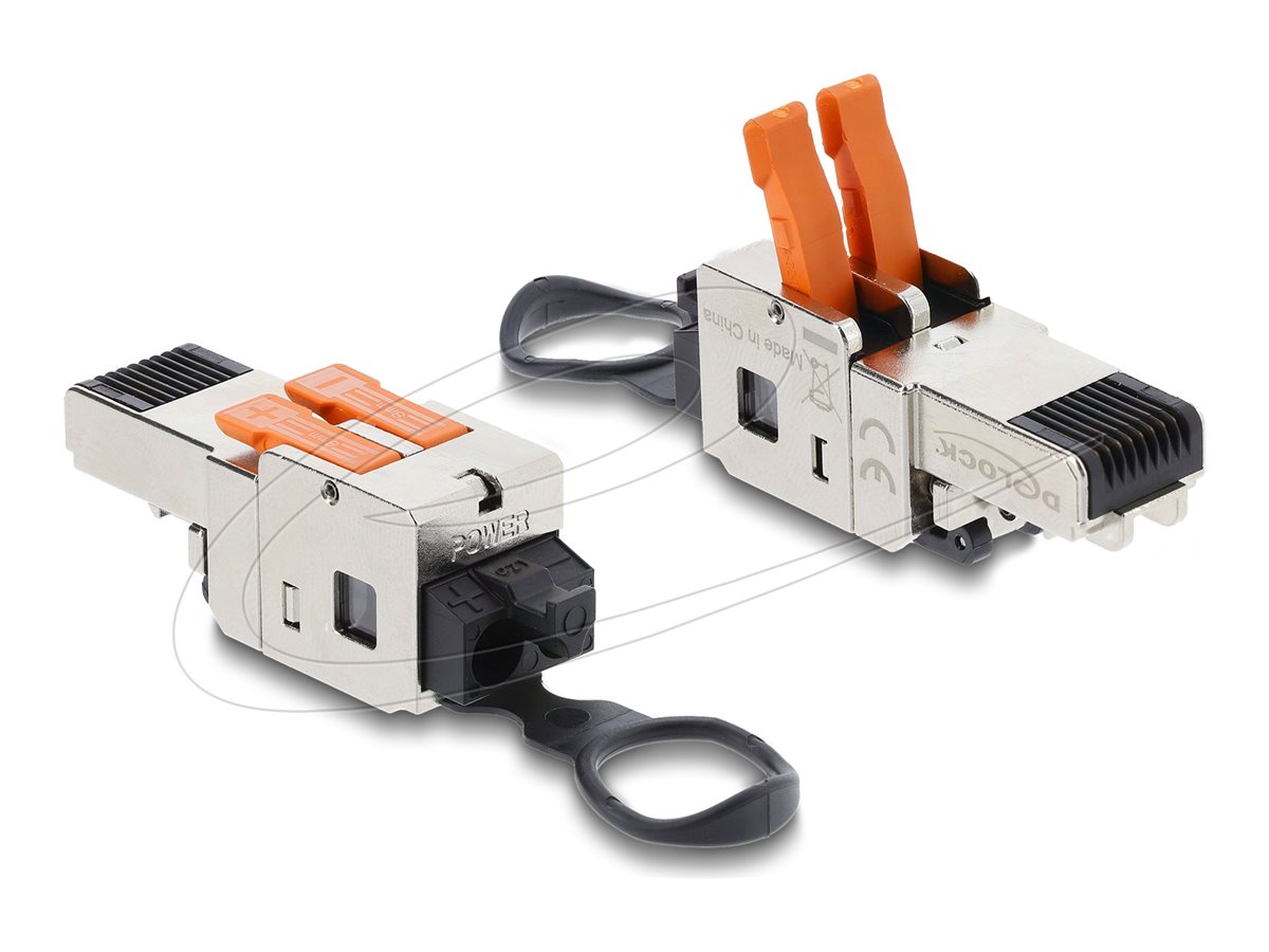 Delock - Netværk-konnektor - RJ-45 (han) lås
