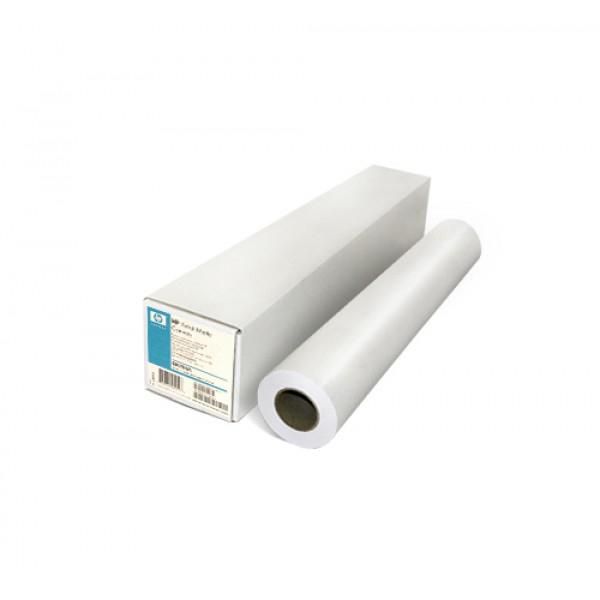 Professional Canvas Roll