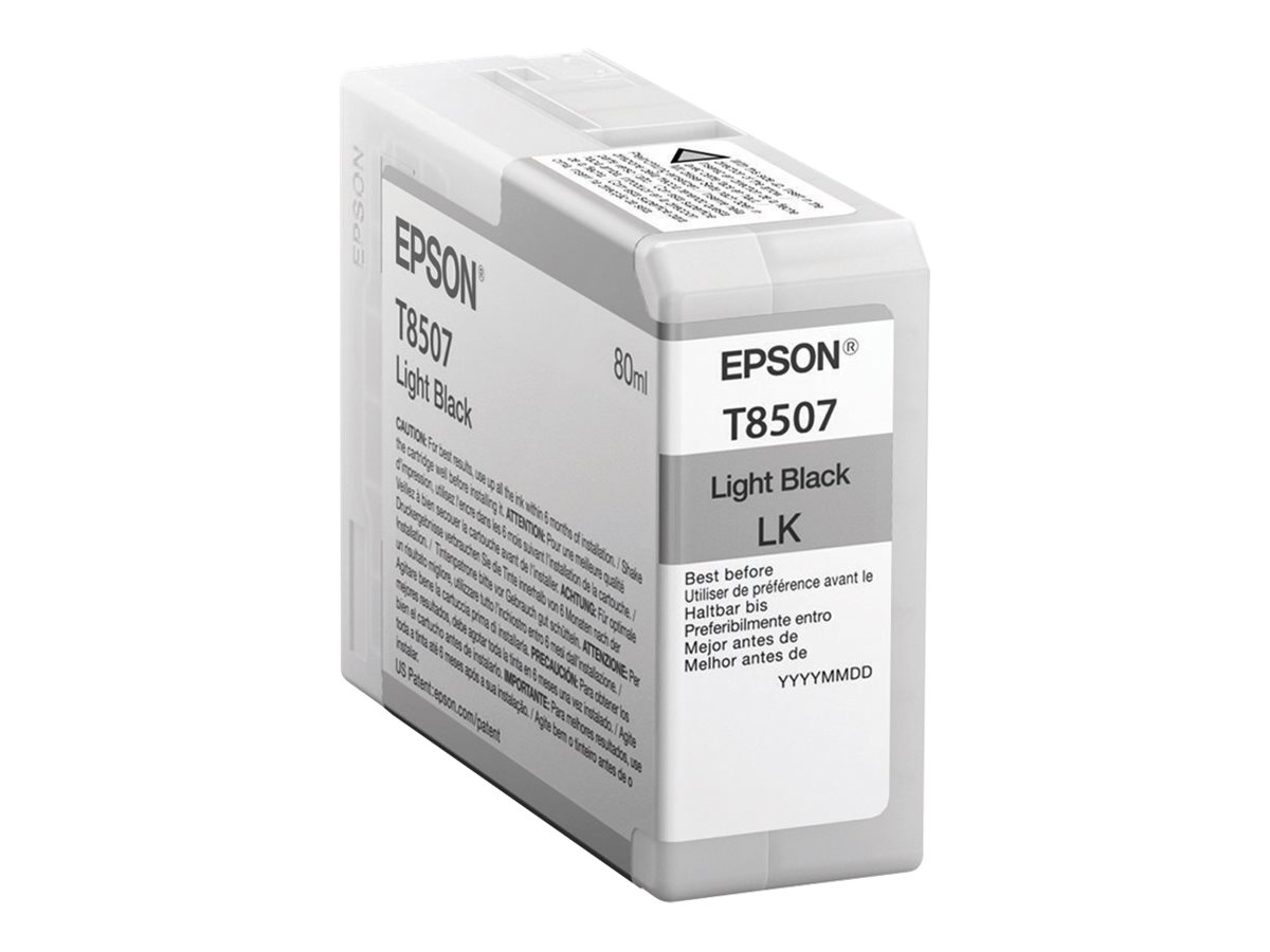 Epson Singlepack Light Black T850700
