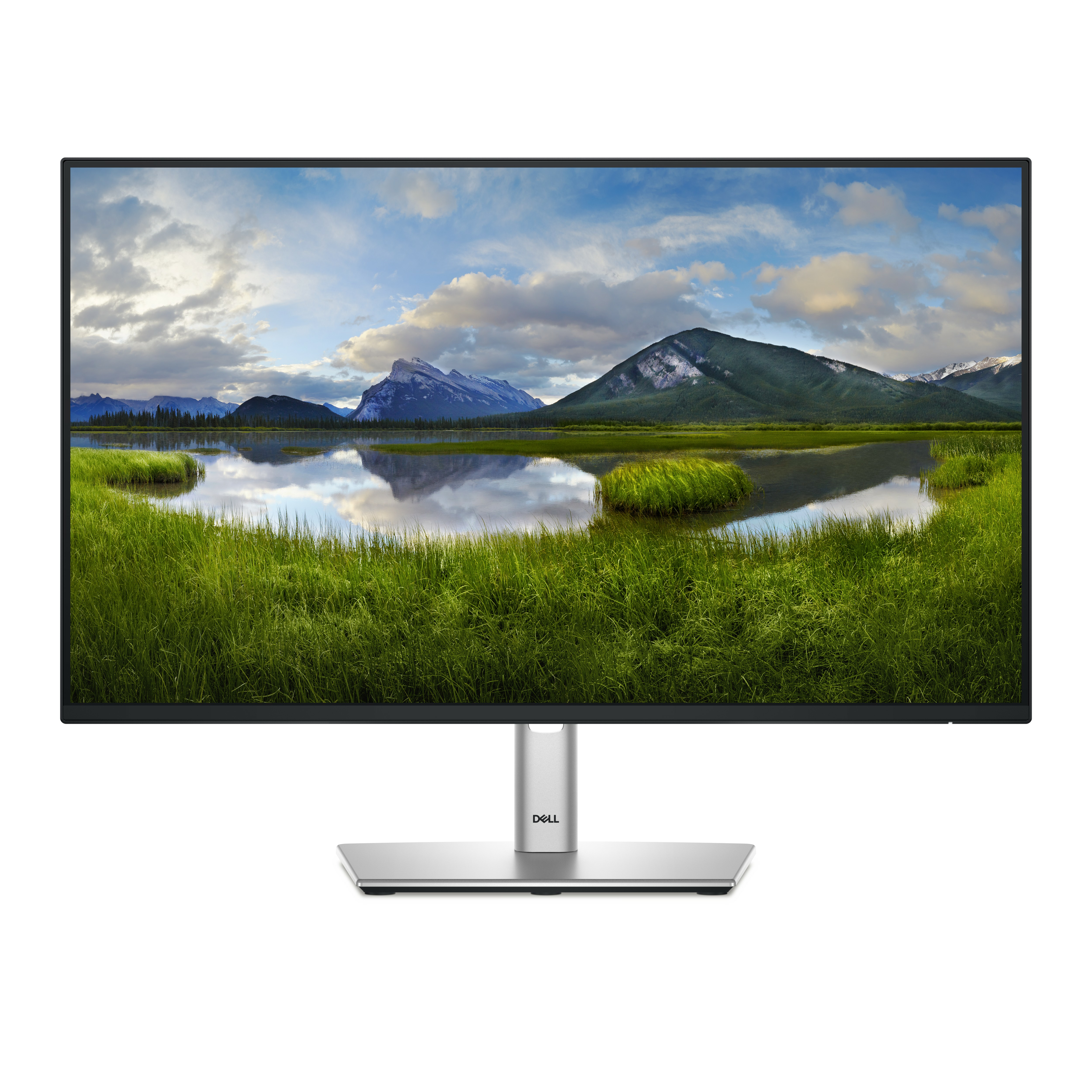 Pro 24 Plus Mon-P2425H