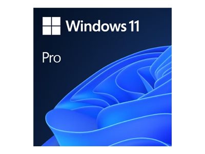 MS DSP Win Pro 11 64Bit Eng Intl 1pk OEM DVD