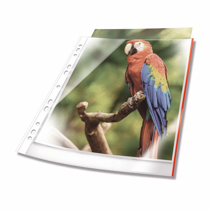 Durable Punched pocket PREMIUM with coloured edge A4 crystal clear PP bag of 25, red