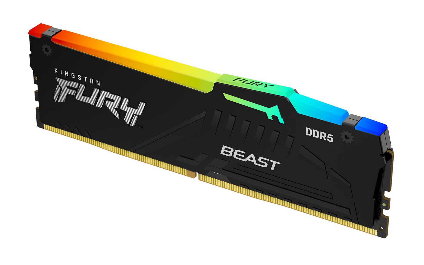 Fury Beast Rgb Memory Module