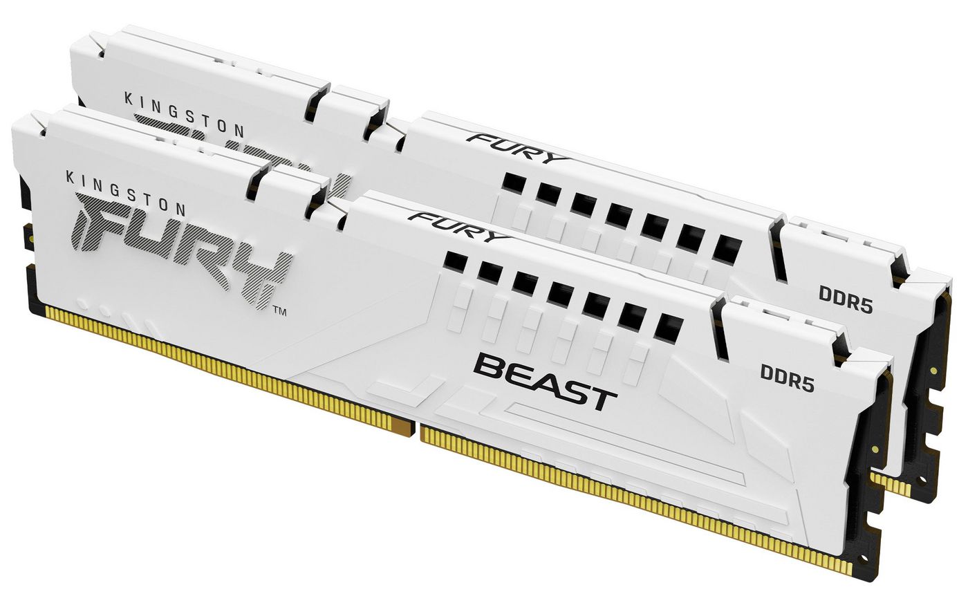 Fury Beast Memory Module 32
