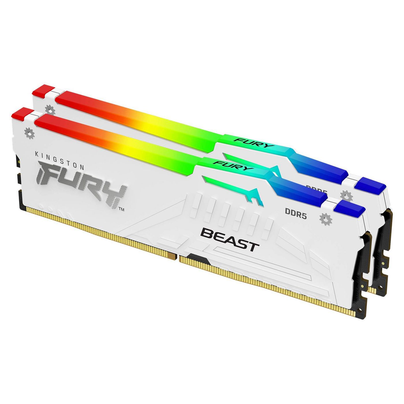 Fury Beast Rgb Memory Module