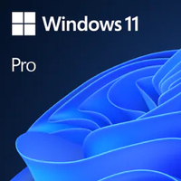 WIN PRO 11 64BIT ALL LNG ESD