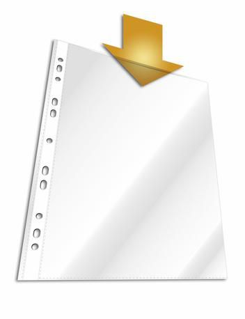Durable Punched pocket BUSINESS A4 crystal clear PP bag of 100