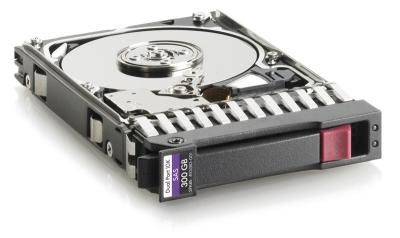 300GB 10.000Rpm 2.5 Inch SAS