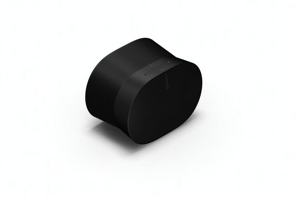 Sonos Era 300 Sort