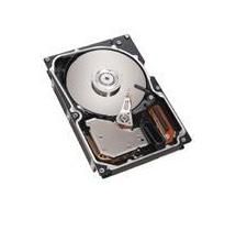 IBM 73GB, 10000 rpm, 2.5", SAS