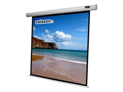 Celexon Economy electric screen 98"