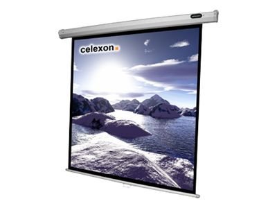 Celexon Economy Manual Screen 89"