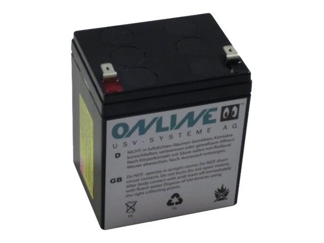 Online USV BCXSRT6000 UPS-batteri