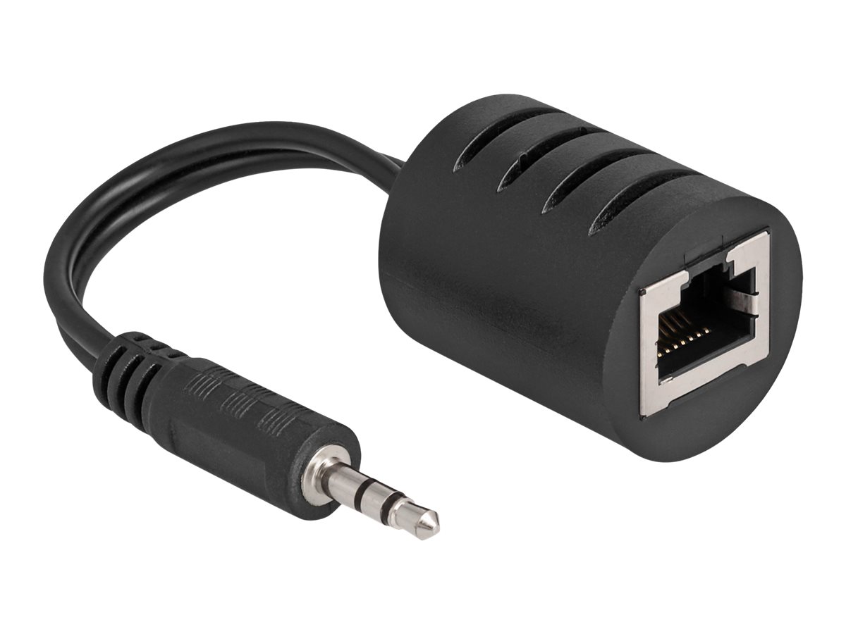 Delock Lyd adapter Sort