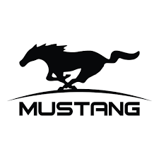 Mustang Electronics