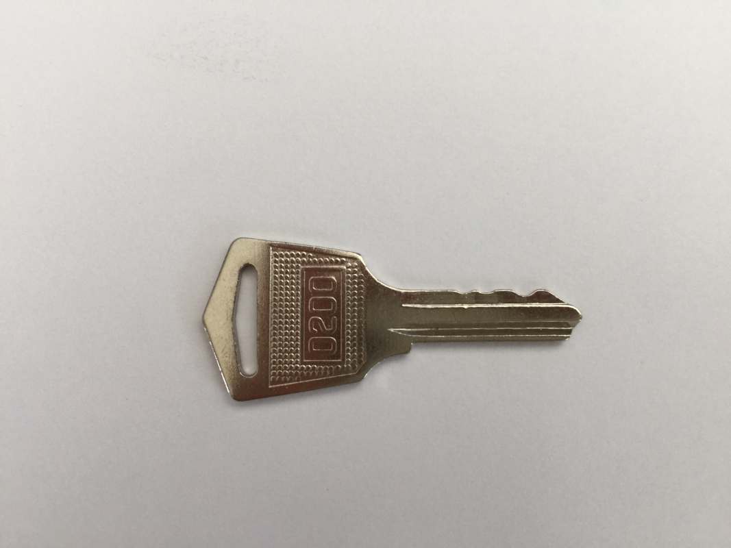 ALLNET 19zzbh. Replacement key for perforated 2-part rear metal door for SNB cabinet series, 1 piece,