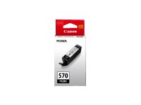 Canon PGI-570PGBK Pigment Black Ink Cartridge