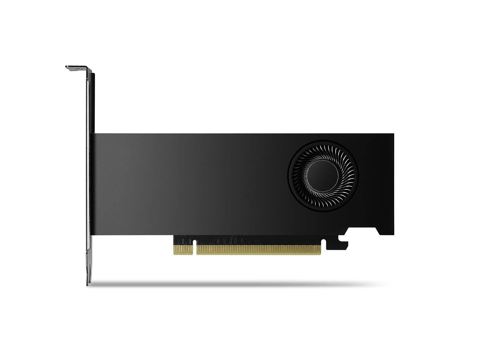 PNY NVIDIA RTX 2000 Ada Generation LowProfile