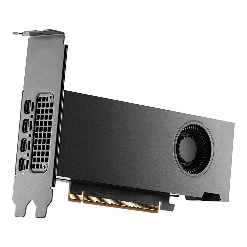 PNY NVIDIA RTX PRO 2000 Blackwell 16GB, 2-slot, incl. Low Profile bracket - OEM Version