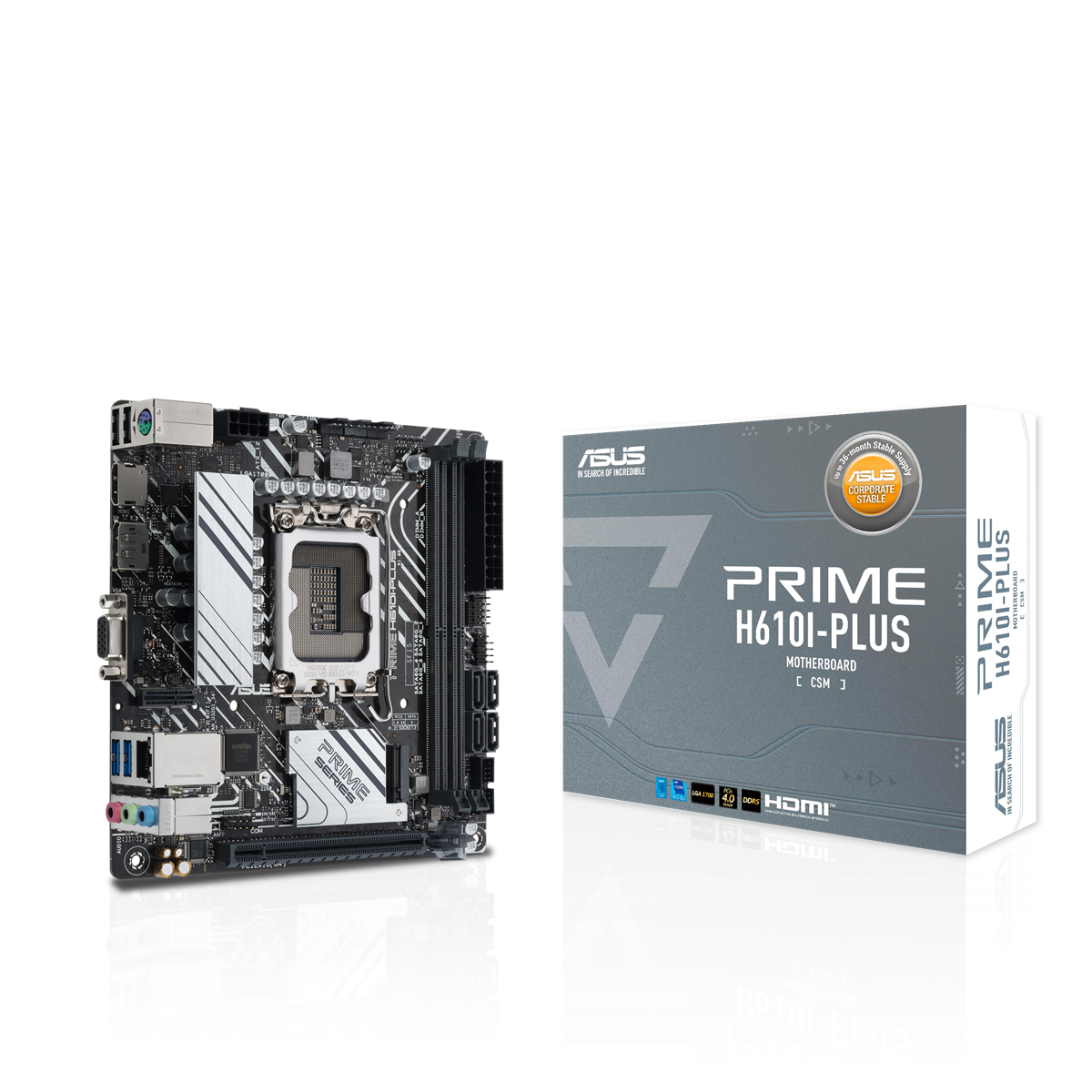ASUS PRIME H610I-PLUS-CSM (Mini-ITX, H610, LGA 1700, DDR5)