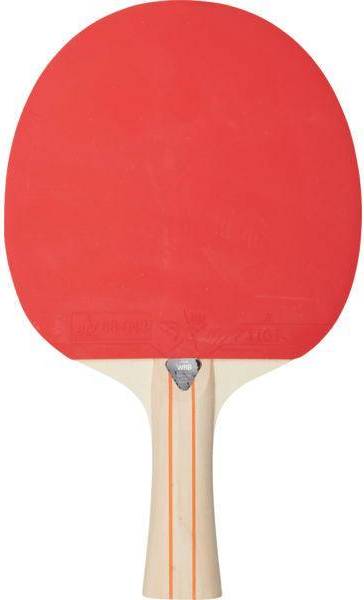 [AI generated title] Stiga Bordtennisbat Evolve 1-Star