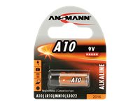 ANSMANN 10A Standard batteries