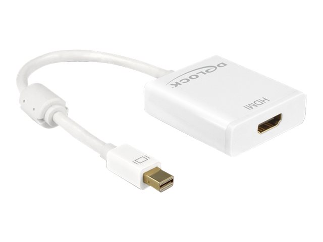 DeLOCK Video transformer
