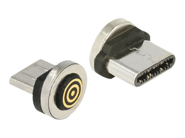Delock Magnetic USB-konnektor Sølv