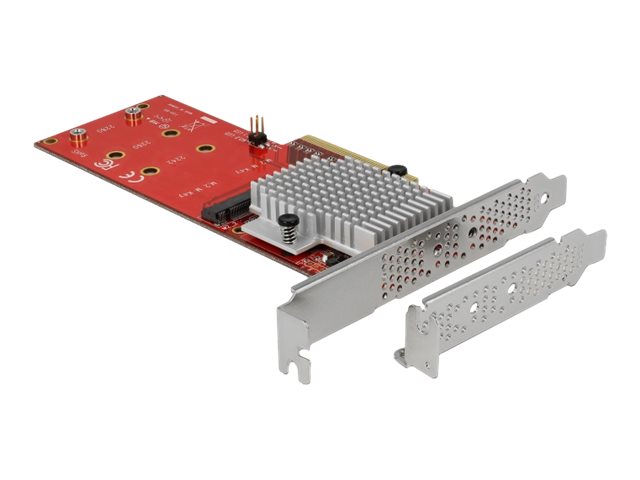 DeLOCK PCI Express Card > 2 x internal M.2 Interfaceadapter