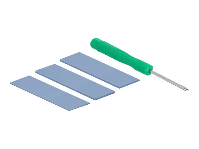 DeLOCK Ekstern Lagringspakning USB 3.2 (Gen 2) USB-C M.2 NVMe Card