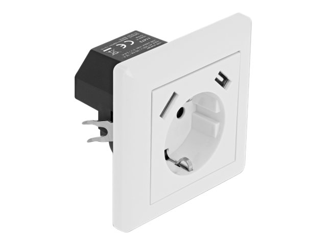 Delock - strømsokkel-outlet - 1 gang - 1 strømsokkel, 2 USB-sokler - hvid
