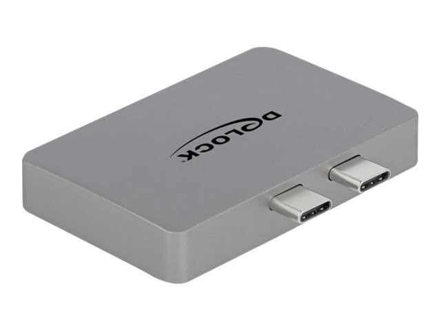 Delock DisplayPort adapter Grå