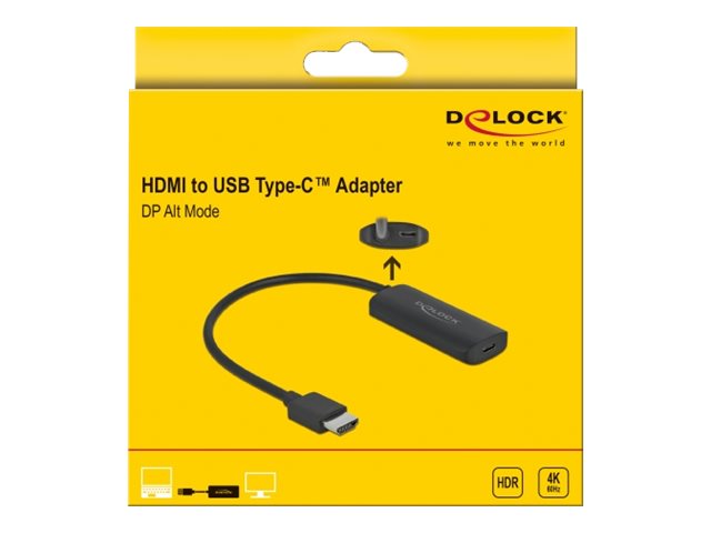 Delock Videoadapter 24cm Sort