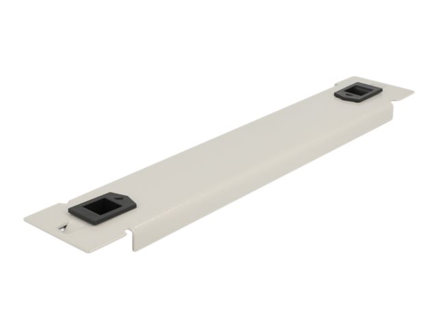 DeLOCK Rack blind cover panel Grå