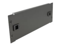 DeLOCK Network Cabinet Blind Cover Rack blind cover panel Sort
