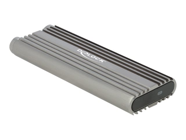 DeLOCK Ekstern Lagringspakning USB 3.2 (Gen 2x2) M.2 NVMe Card / PCIe (NVMe)